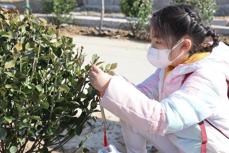 大众网记者 丛婕 孙顺科 杨栋博 威海报道(图8)