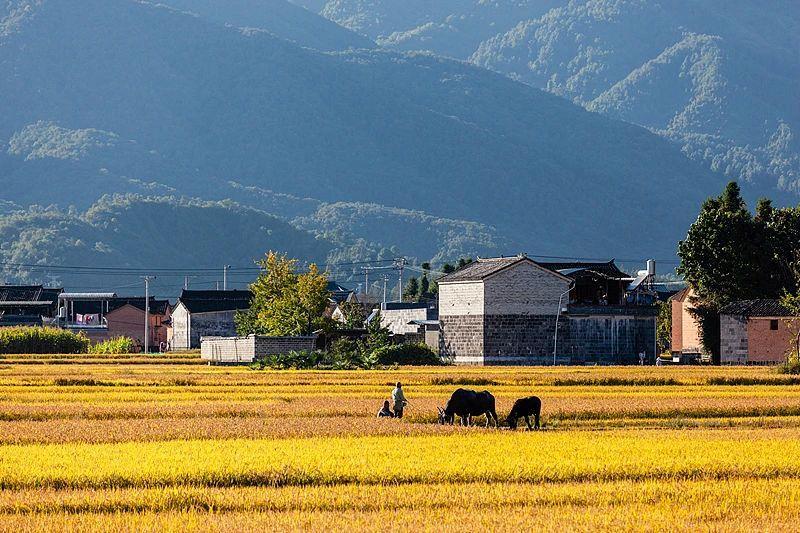 “燕将明日去，秋向此时分。”9月22日20时43分将迎来秋分节气。(图8)