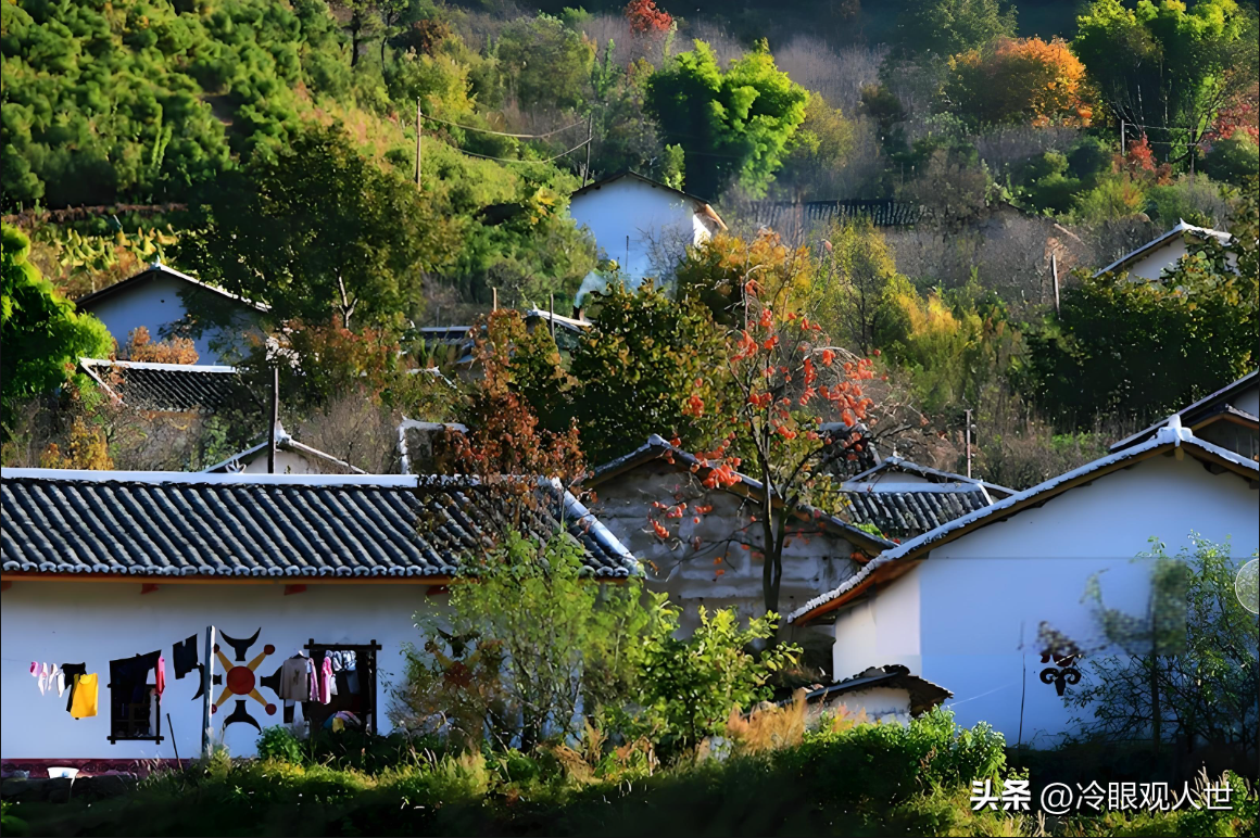 在那片被群山温柔环抱的西昌上乡村，时间仿佛流淌得更加缓慢，每一缕炊烟、每一声鸡鸣都承载着世代村民的质朴与安宁。然而，就在这片宁静的土地上，一段被岁月尘封的爱恨情仇，如同被风化的岩石下隐藏的暗流，终于在某个不经意的瞬间，冲破了表面的平静，露出了它狰狞的面目。(图3)